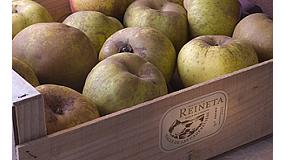 Foto de Ms de 80.000 kg de manzanas comercializados hasta el momento