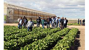 Picture of [es] Syngenta Leafy Dynamics analiza las tendencias de consumo de las hortalizas de hoja