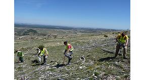 Foto de El rbol es Vida comienza mayo sembrando en zonas incendiadas de Teruel