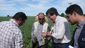 Picture of [es] BASF inicia una importante experiencia con agricultores de Cuenca y Albacete en los cultivos de ajo y cebolla