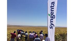 Foto de Syngenta presenta en campo las variedades Sy Kiara y Sy Bento junto a Bosfora, la variedad nmero uno en la RAEA 2013