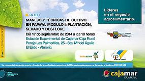 Foto de La Estacin Experimental de Cajamar impartir el taller 'Manejo y tcnicas de cultivo en papaya'