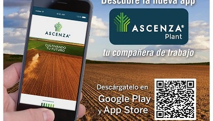 Foto de Ascenza renueva su app Ascenza Plant