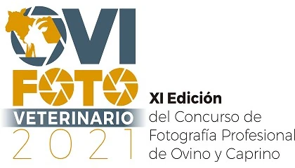 Foto de OviFoto@VETERINARIO 2021: El trabajo de los veterinari@s de ovino y de caprino visto a travs de la fotografa