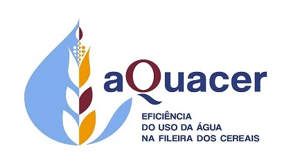 Foto de aQuacer - eficincia do uso da gua na fileira dos cereais: veja o vdeo do projeto