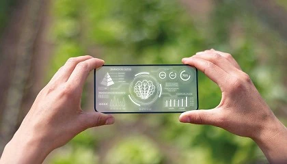 Foto de Inteligencia artificial y big data para aumentar la productividad en la agroalimentación