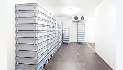 Foto de Tendencias del sector del almacenamiento y la logística del frio para el trienio 2023-25