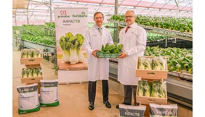 Foto de Primaflor y Fertiberia se unen en la producción de verduras y hortalizas de bajo impacto ambiental