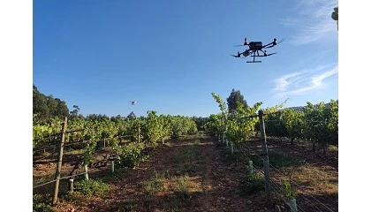 Foto de Agricultura 5.0: Nueva era en la deteccin de enfermedades combinando robots areos, terrestres y sensores