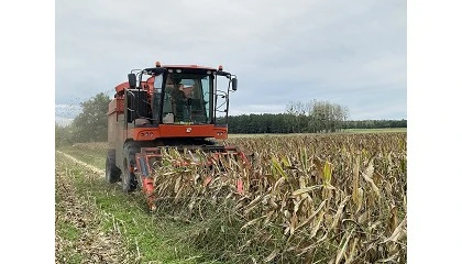 Foto de Uma viagem ao cora��o do milho europeu