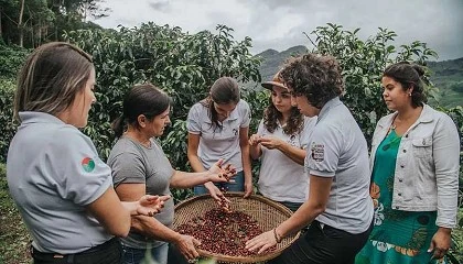 Foto de La red que ayuda a las mujeres en el mundo del caf prepara su desembarco en Espaa