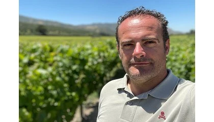 Foto de Entrevista a Gerardo Brox, respons�vel de vinha na Agromillora