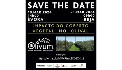 Foto de OLIVUM dinamiza Jornada Tcnica sobre o Impacto do Coberto Vegetal no Olival