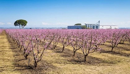 Foto de Aplicacin especial de Selter para Productos Grau