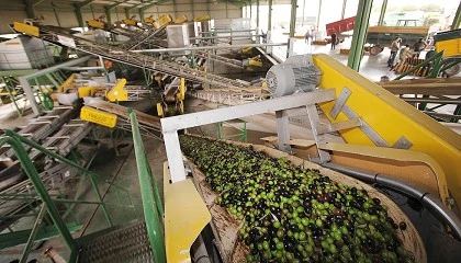 Foto de La produccin de aceite de oliva en Extremadura supera las 68.700 toneladas