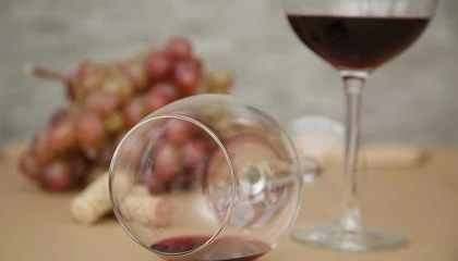 Foto de Soluciones para la elaboracin de vino sin sulfuroso