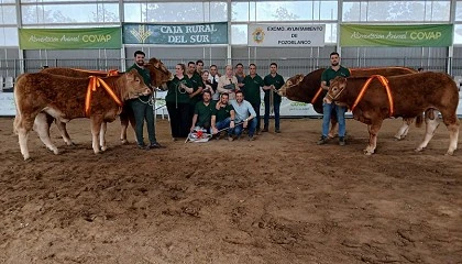 Foto de Ganadores del Concurso de Raza Limusina en la Feria del Valle de los Pedroches 2024