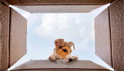 Foto de Salud no hay m�s que una