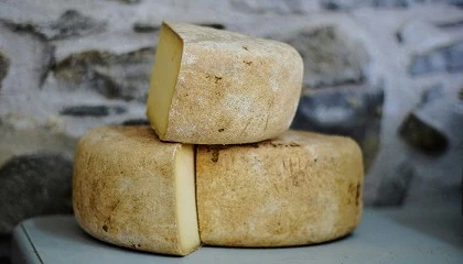 Picture of Alimentar cabras con pulpa de naranja deshidratada da mejores quesos