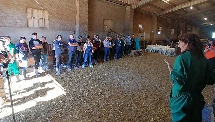 Foto de Rasa Aragonesa apuesta por el pesaje automtico de corderos para la seleccin gentica