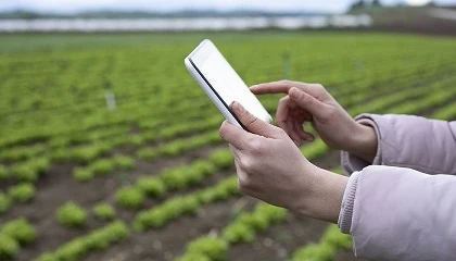 Picture of Ayudas al asesoramiento para la digitalizacin del sector agroalimentario por tres millones de euros