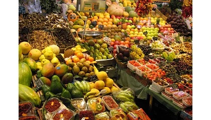 Picture of La UPV subraya la importancia de controlar la seguridad alimentaria en frutas y verduras