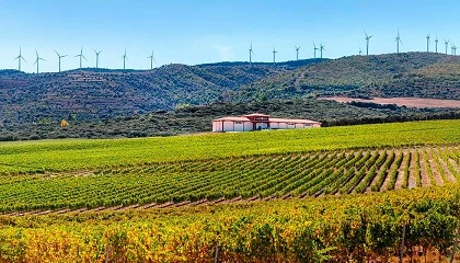 Foto de El Coto de Rioja eleva hasta los 997 metros la cota mxima en los viedos de la DOCa Rioja