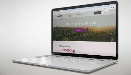 Picture of MORA, el Mercado Online de Uva de INNOVI, vuelve a ponerse en marcha durante esta vendimia