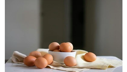 Foto de Auchan vende ovos avulsos para combater o desperdcio alimentar