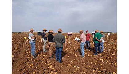 Foto de Brandt organiza una jornada en Sevilla sobre eficiencia en la fertilizacin de patata