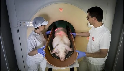 Foto de Un aparato de rayos X dentro de un triler acerca esta tcnica al sector porcino