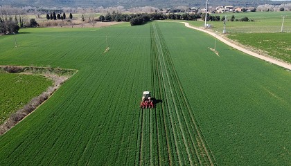 Foto de Deshierbe mecnico y nuevas variedades, alternativas a los herbicidas