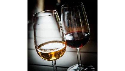 Foto de Un mtodo sencillo y econmico para identificar vinos generosos y evitar fraudes
