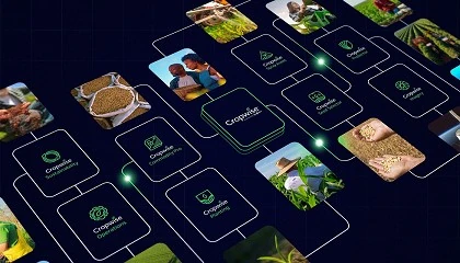 Fotografia de Cropwise, nueva plataforma de Syngenta para optimizar la gestin de cultivos