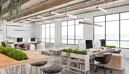 Foto de La iluminacin adecuada en oficinas incrementa la productividad laboral en un 10%