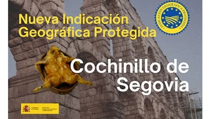 Foto de La Unin Europea registra la nueva Indicacin Geogrfica Protegida Cochinillo de Segovia