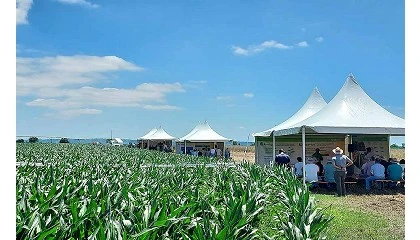 Foto de Syngenta apresenta solues de agricultura de preciso para a cultura do milho