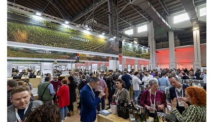 Foto de 90% do espao de exposio da Barcelona Wine Week 2025 j est contratado