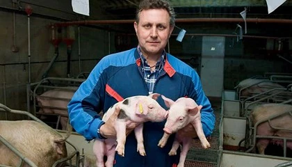 Foto de La adaptacin a las nuevas exigencias de bienestar en porcino costar 300.000 euros por granja