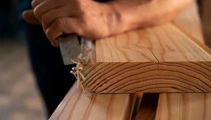 Foto de La madera y el sector de la construccin: Una alianza esencial para una arquitectura sostenible