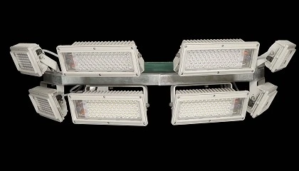 Foto de The Very Best: Lumosa