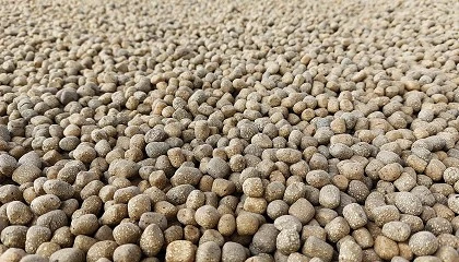 Foto de The Very Best: Preceram