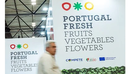 Foto de Exportaes de frutas, legumes e flores crescem 13,4% no primeiro semestre