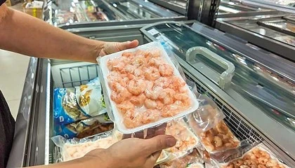 Foto de Uno de cada tres productos alimentarios de gambas, langostinos y similares no son la especie que declara la etiqueta