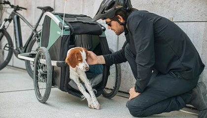 Foto de Transporta a tu perro en bici con el novedoso remolque Thule Bexey