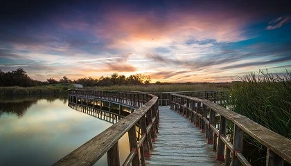 Foto de 12 millones de euros para digitalizar el ciclo urbano del agua en el entorno de Las Tablas de Daimiel y la Reserva de la Biosfera La Mancha Hmeda