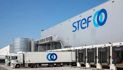 Foto de STEF Iberia consolida su posicin en el mercado del transporte y la logstica de productos alimentarios congelados en Espaa