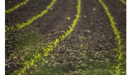 Foto de Biome Makers expande su actividad a Portugal gracias a su alianza con Food4Sustainability