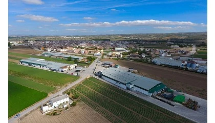 Foto de Granada ya tiene la mayor cooperativa de esprrago verde de Europa