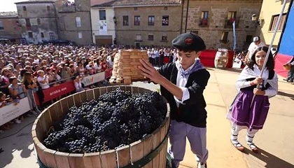 Foto de Las ventas de vino de Rioja Alavesa bajan un 4,4% en un contexto de cada mundial